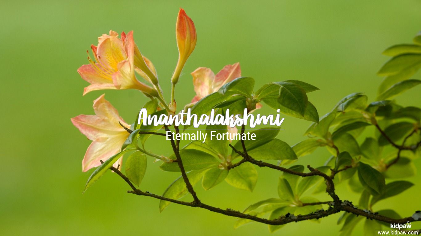 Ananthalakshmi 3D Name Wallpaper for Mobile, Write अनंथालक्ष्मी Name on  Photo Online