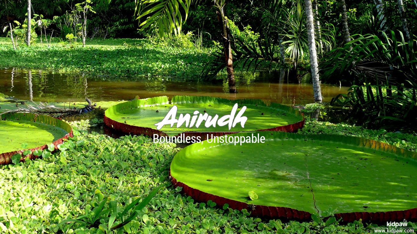 Anirudh 3D Name Wallpaper for Mobile, Write अनिरुद्ध Name on Photo Online