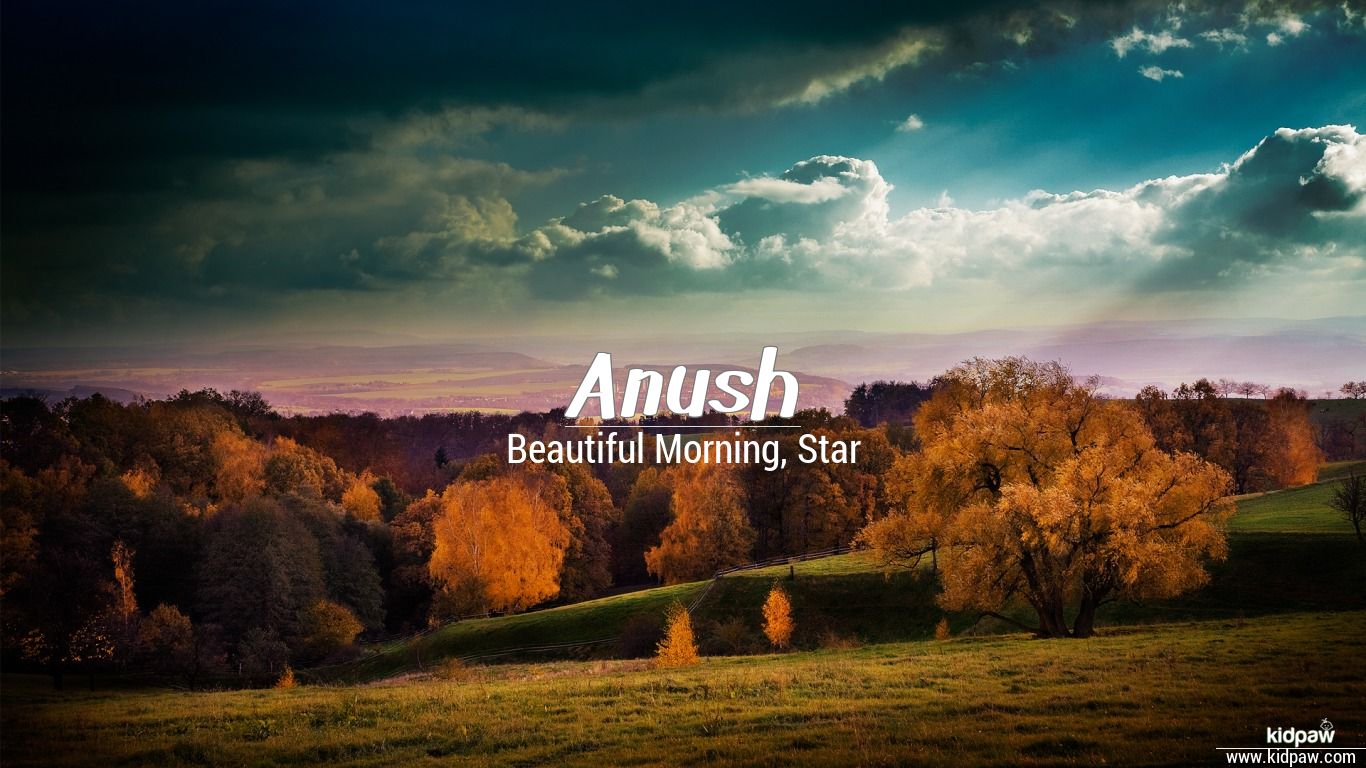 Anush 3D Name Wallpaper for Mobile, Write अनुष Name on Photo Online