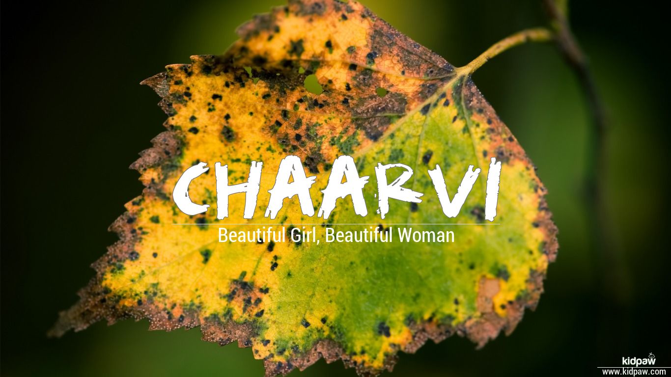 चार्वी | Chaarvi Name Meaning in Hindi, Chaarvi Luck ...