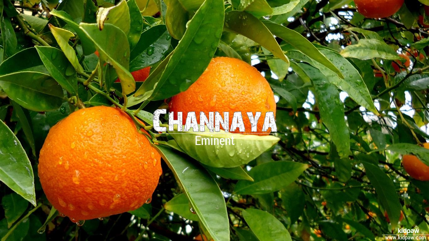 चान्नाय | Channaya Name Meaning in Hindi, Channaya Luck Number, Rashi