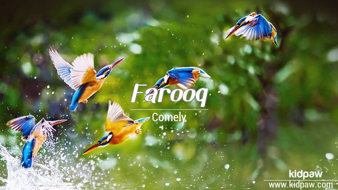 Farooq 3D Name Wallpaper for Mobile, Write فاروق Name on Photo Online