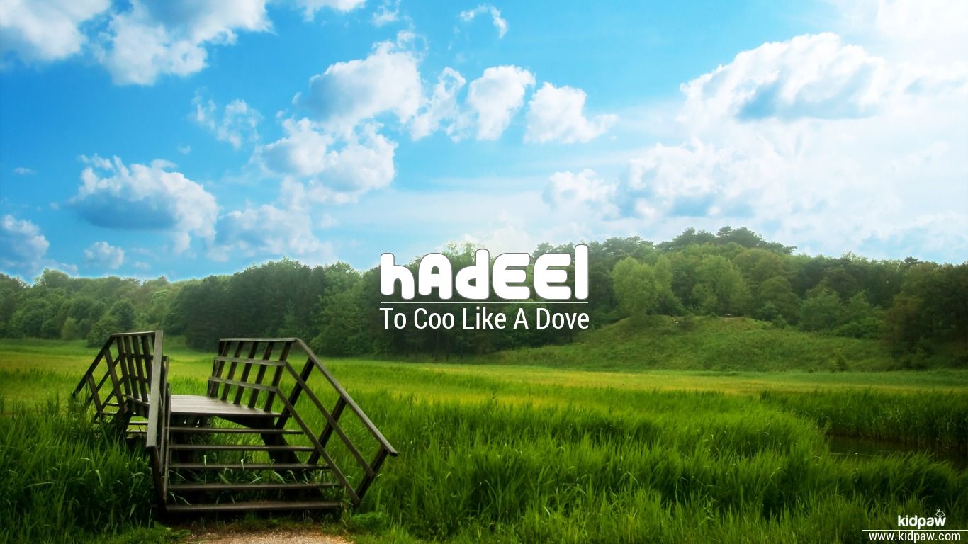 حدیل | Hadeel Name Meaning in Urdu, Arabic names for Girls