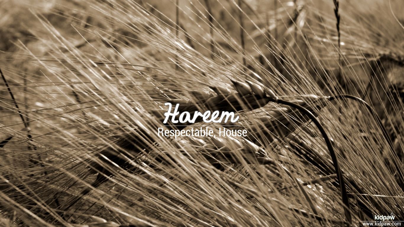 Hareem 3D Name Wallpaper for Mobile, Write حریم Name on Photo Online
