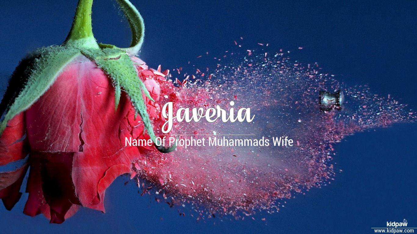 Javeria 3D Name Wallpaper for Mobile