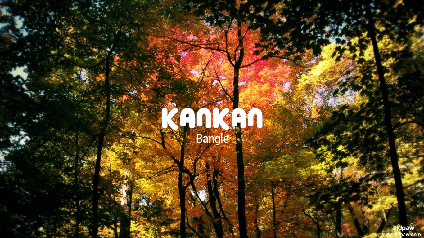 Kankan  Really Rich Lyrics  Genius Lyrics