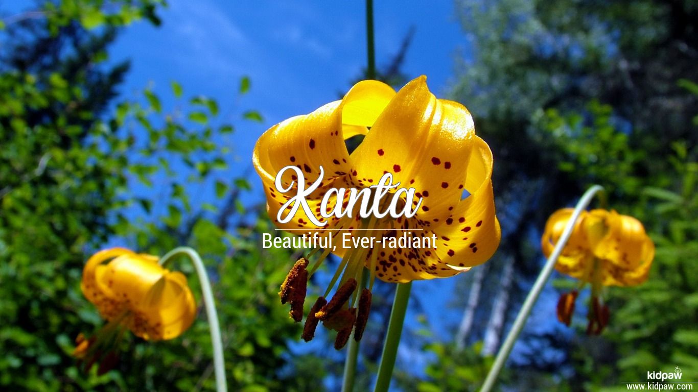 Kanta 3D Name Wallpaper for Mobile, Write कांता Name on Photo Online