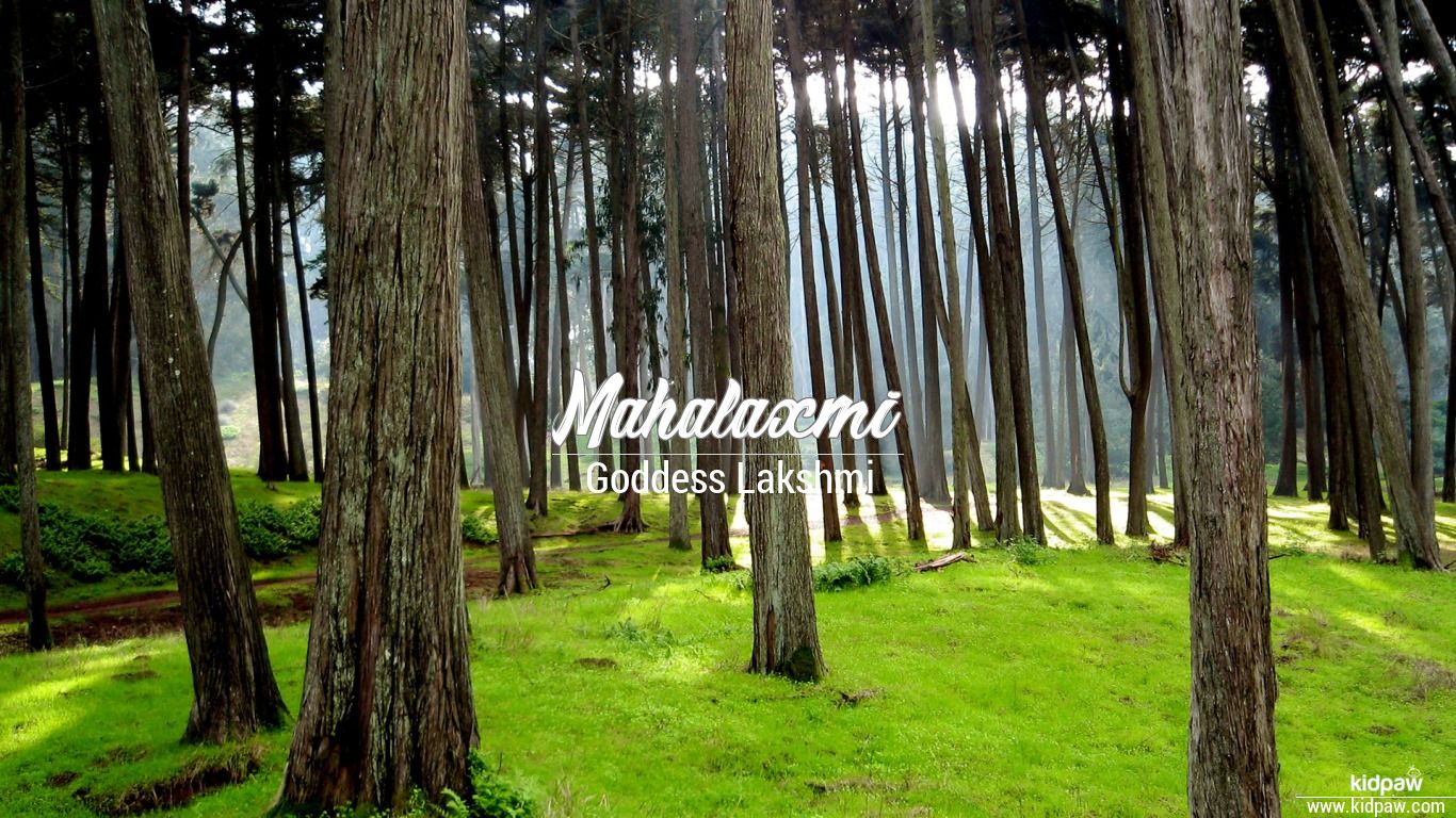 Mahalaxmi 3D Name Wallpaper for Mobile, Write महालक्ष्मी Name on Photo  Online