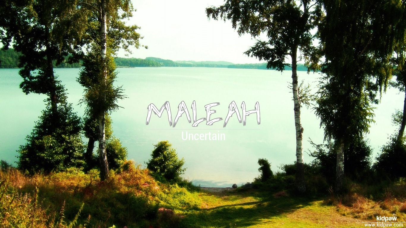 Maleah Name Pronunciation in 20 Different Languages