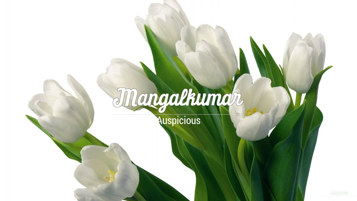 मंगलकुमार | Mangalkumar Name Meaning in Hindi, Origin, Lucky Number, Rashi,  Birth Star & Janam Nakshatra