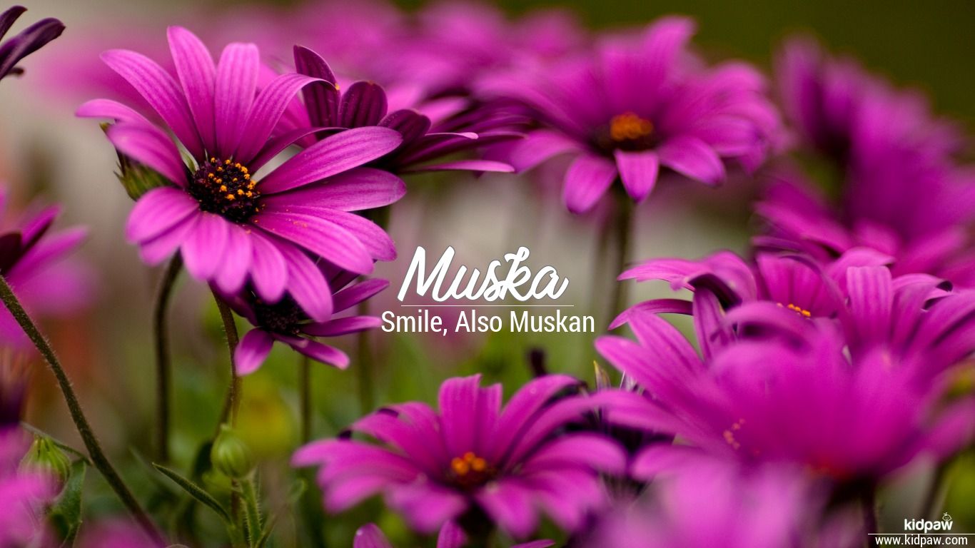 Muska 3D Name Wallpaper for Mobile, Write مسکا Name on Photo Online