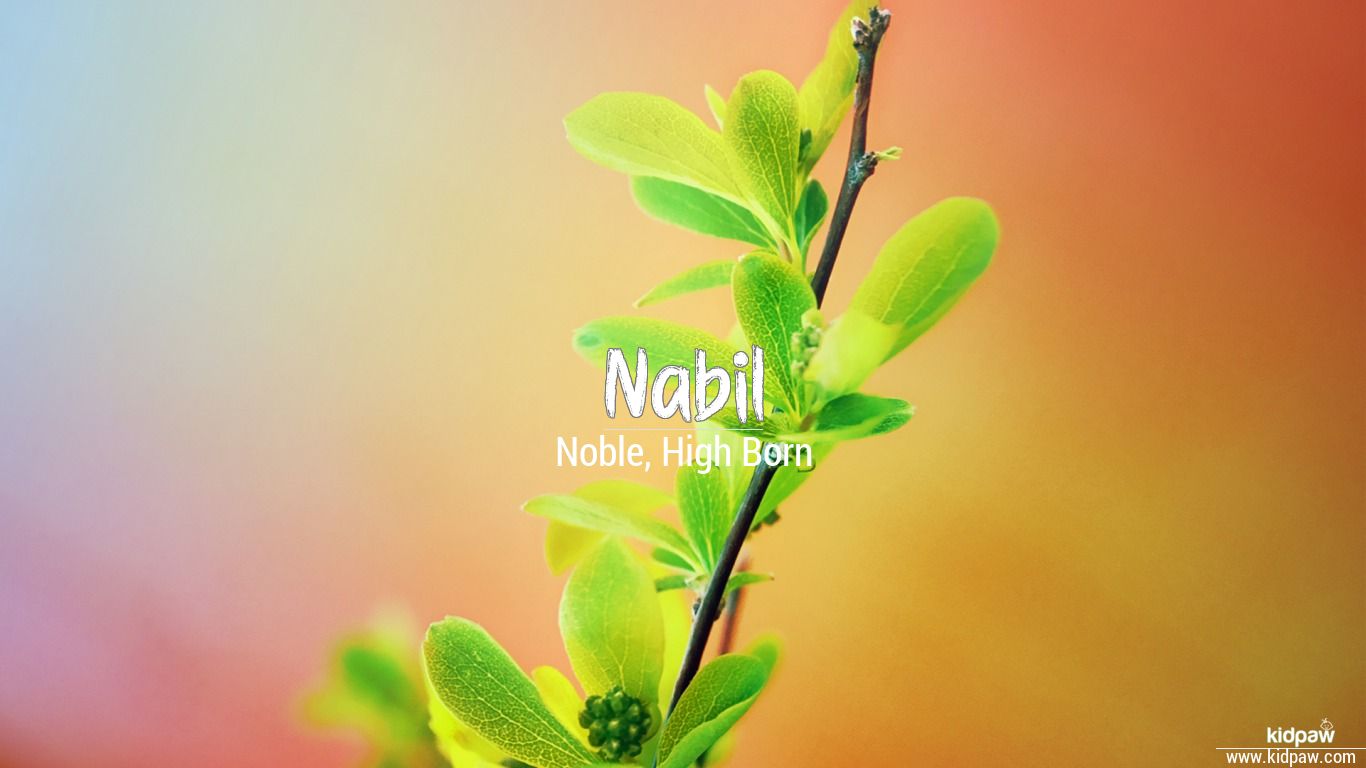ÙØ¨ÛÙ Nabil Name Meaning In Urdu Arabic Names For Boys What samid mean in urdu or sameed mean urdu? ÙØ¨ÛÙ nabil name meaning in urdu