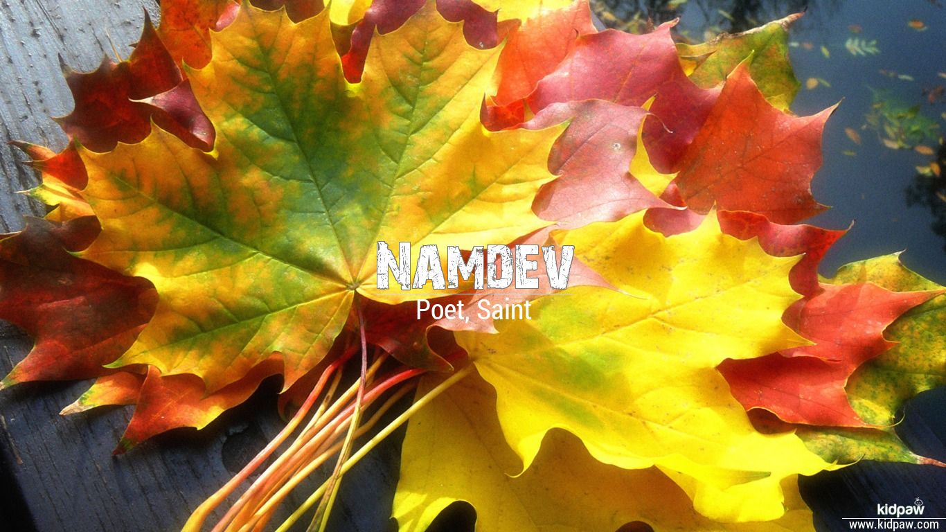 Namdev 3D Name Wallpaper for Mobile, Write नामदेव Name on Photo Online