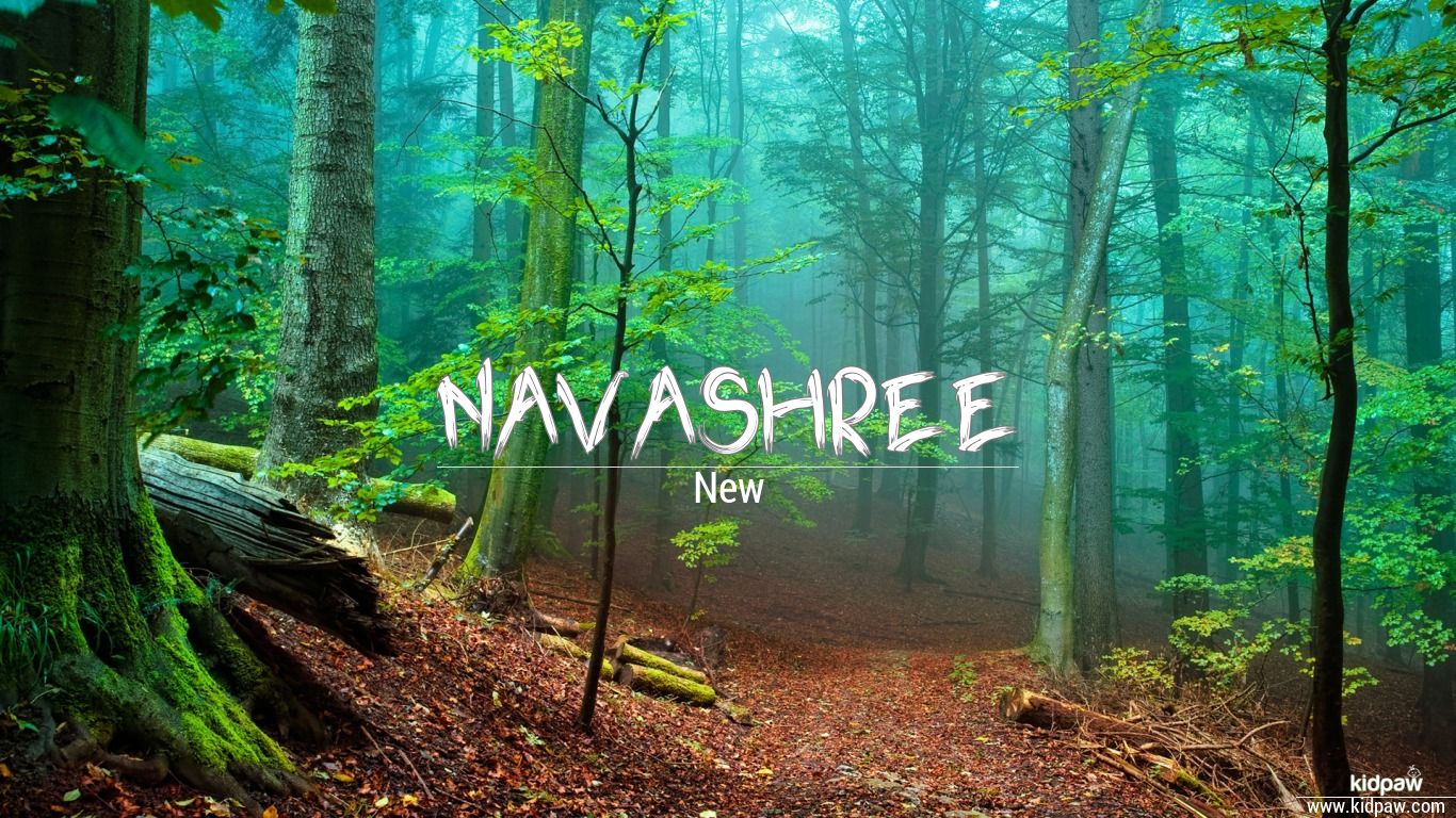 navashree-3d-name-wallpaper-for-mobile-write-name-on-photo-online