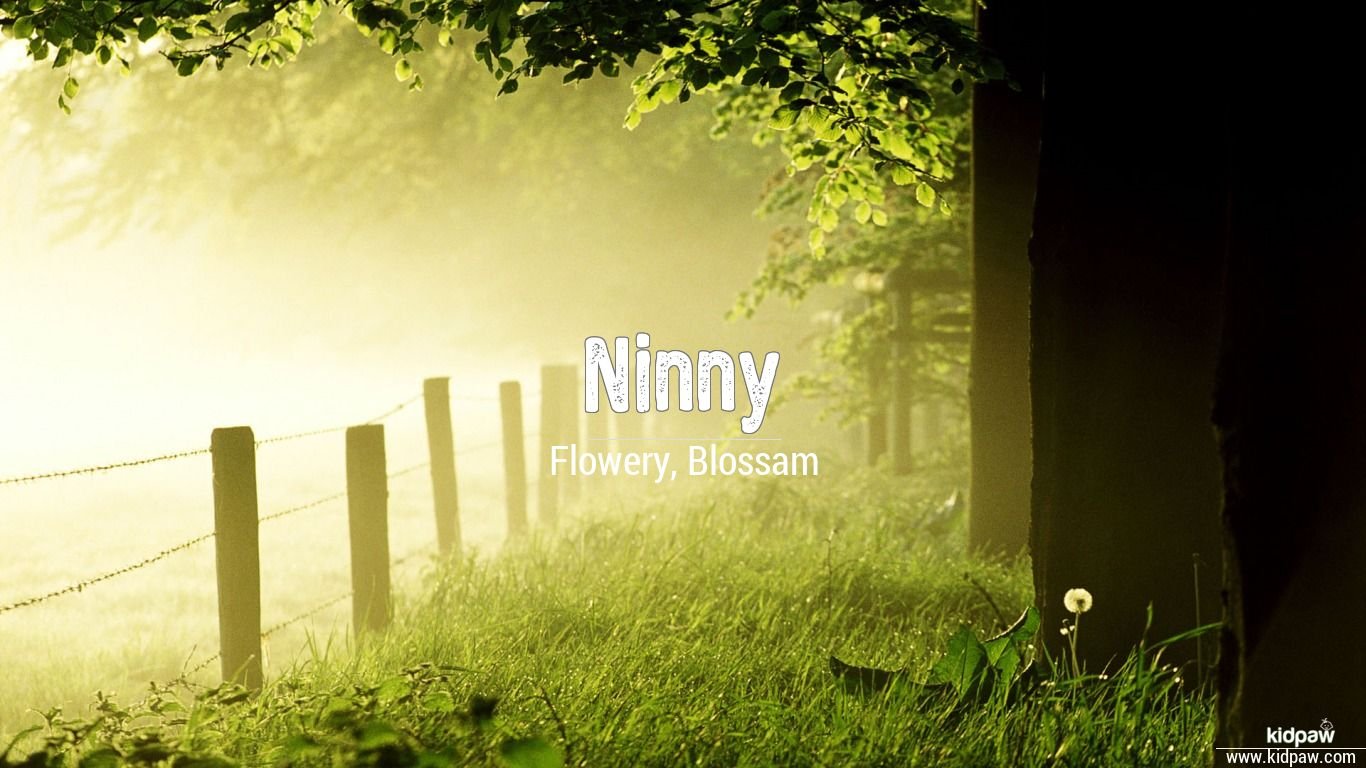  Ninny Name Meaning In Hindi English Rashi Nakshatra 