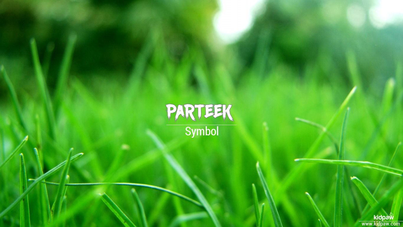 पर्तिक | Parteek Name Meaning in Hindi, Origin, Lucky Number, Rashi, Birth  Star & Janam Nakshatra