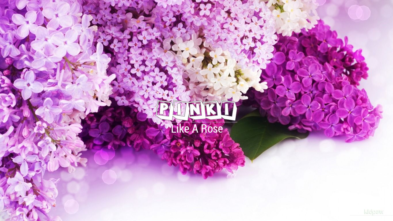 Pinki 3D Name Wallpaper for Mobile, Write पीन्की Name on Photo Online