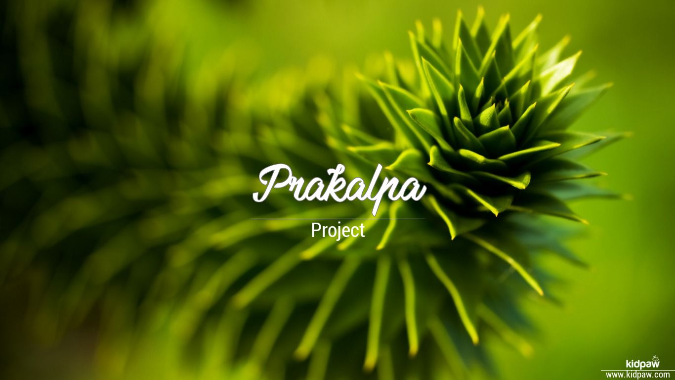Prakalpa 3D Name Wallpaper for Mobile, Write प्रकल्पा Name ...