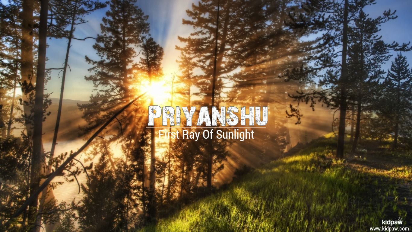 Priyanshu 3D Name Wallpaper for Mobile, Write प्रियांशु Name on Photo Online