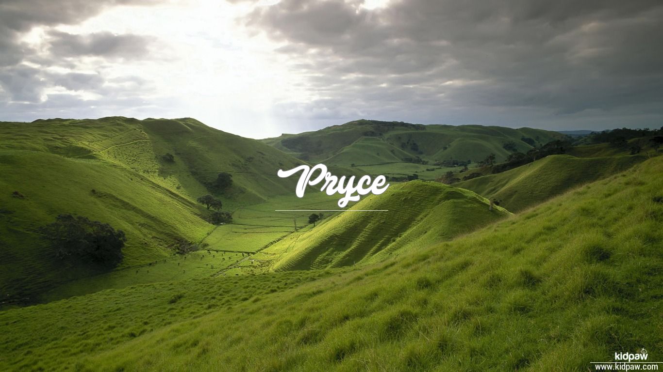 Pryce 3D Name Wallpaper for Mobile, Write Name on Photo Online