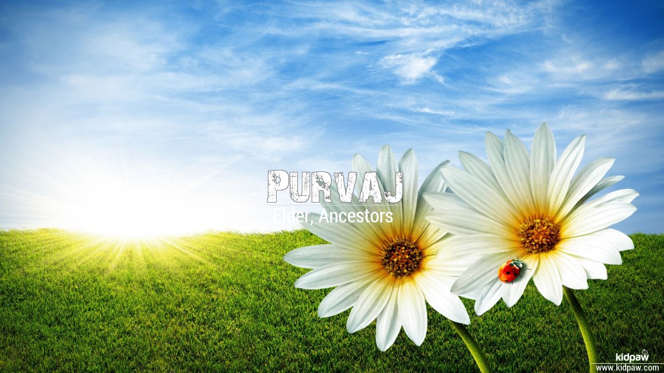 Purvaj 3D Name Wallpaper for Mobile, Write पूर्वज Name on Photo Online