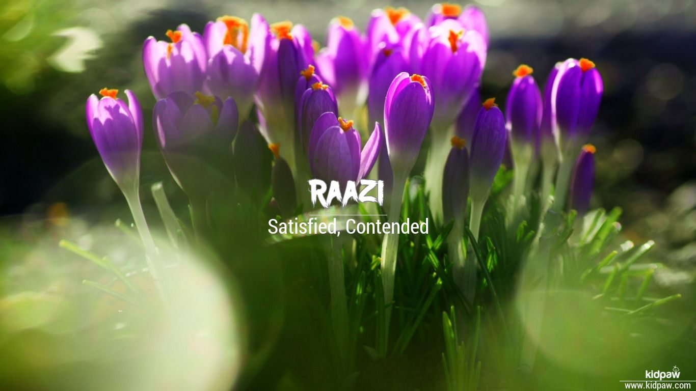Raazi 3D Name Wallpaper for Mobile, Write رازی Name on Photo Online