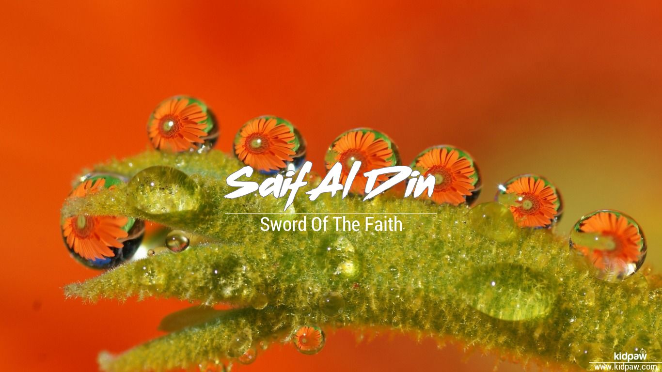 Saif Al Din Name Meaning in Urdu, Origin, Luck Number | | کے معنی سیف الدين  | Boys Names