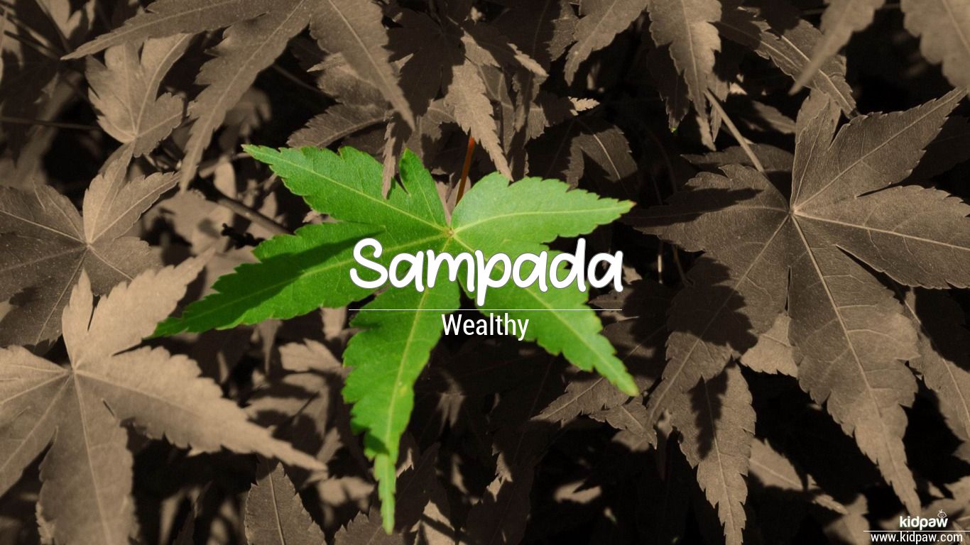 Sampada 3D Name Wallpaper for Mobile, Write संपदा Name on Photo Online