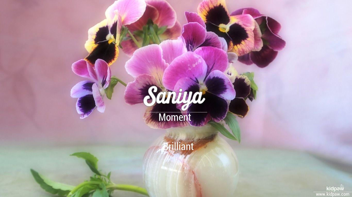 Saniya 3D Name Wallpaper for Mobile, Write سنیا Name on Photo Online