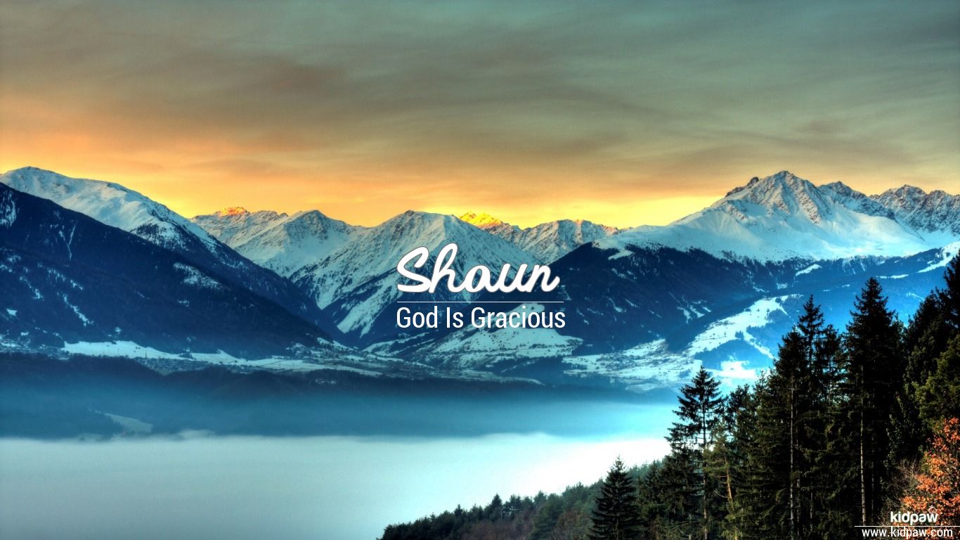 Shaun 3D Name Wallpaper for Mobile, Write Name on Photo Online