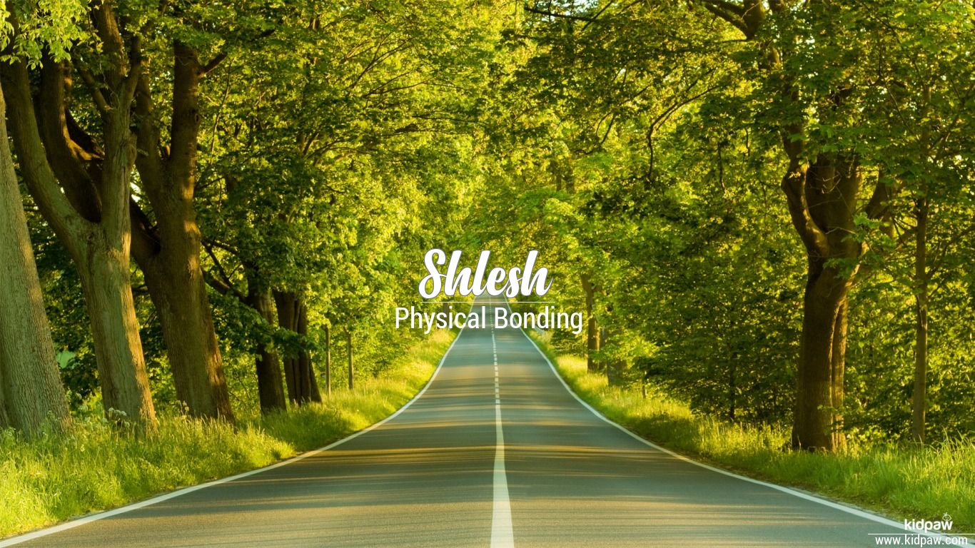 Shlesh 3D Name Wallpaper for Mobile, Write श्लेश Name on Photo Online