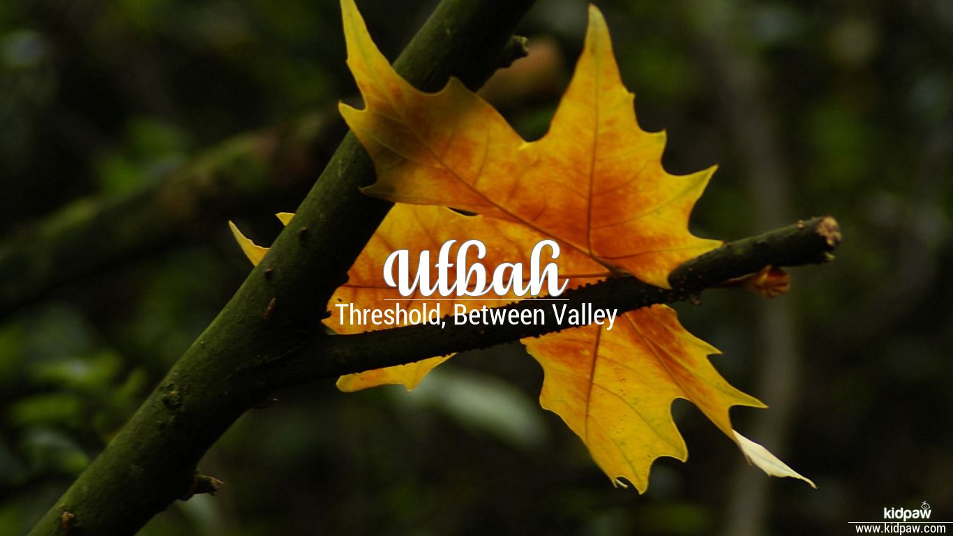 Utbah 3D Name Wallpaper for Mobile, Write عتبہ Name on Photo Online