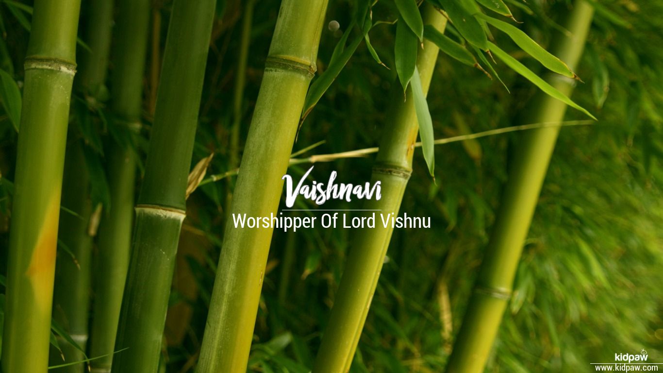 Vaishnavi 3d Name Wallpaper For Mobile Write व ष णव Name On Photo Online