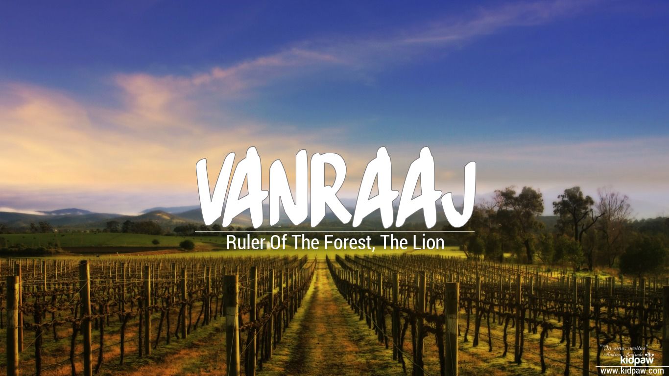 Vanraaj 3D Name Wallpaper for Mobile, Write वनराज Name on Photo Online