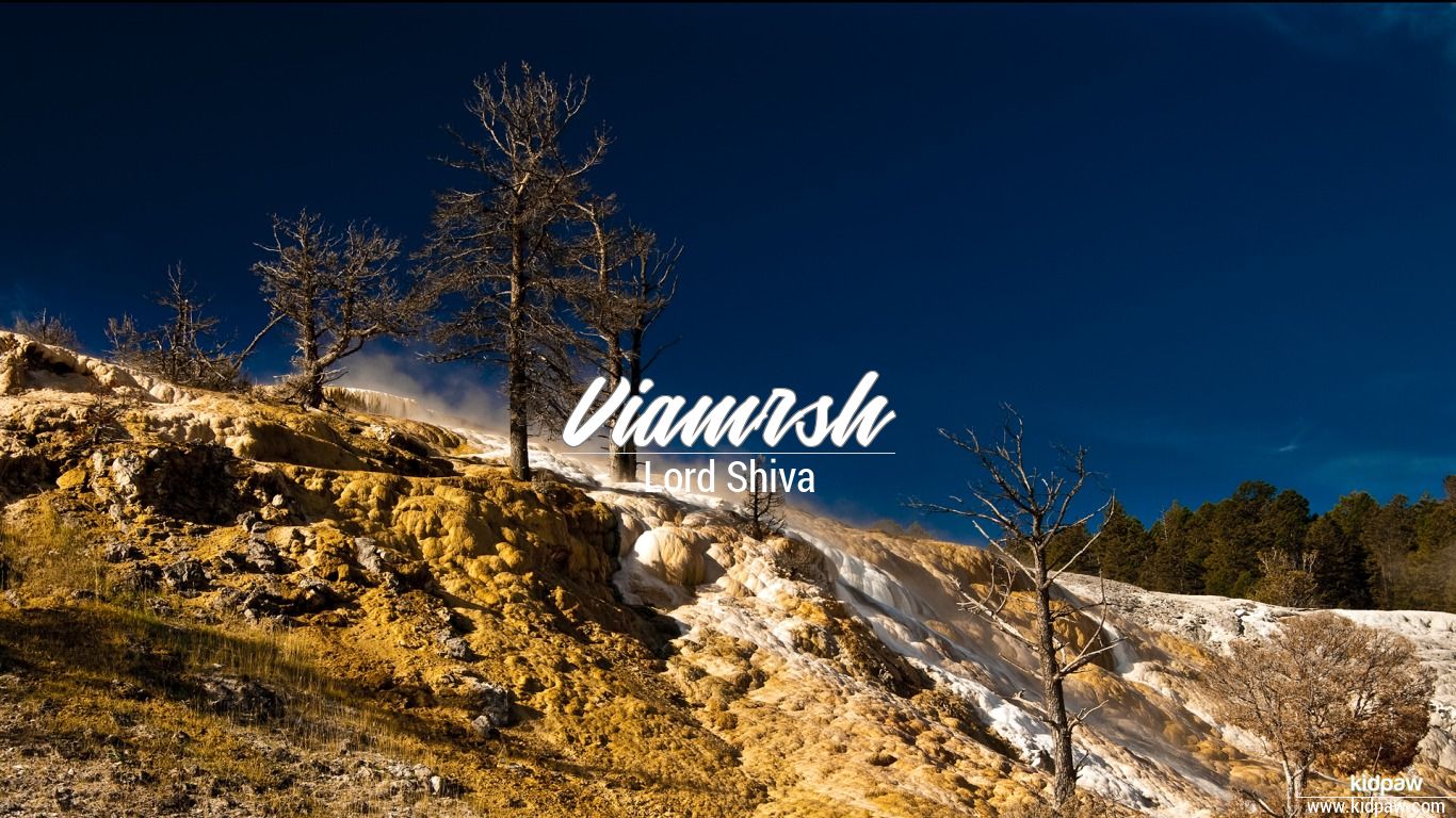 वियामर्श  Viamrsh Name Meaning in Hindi, Viamrsh Lucky