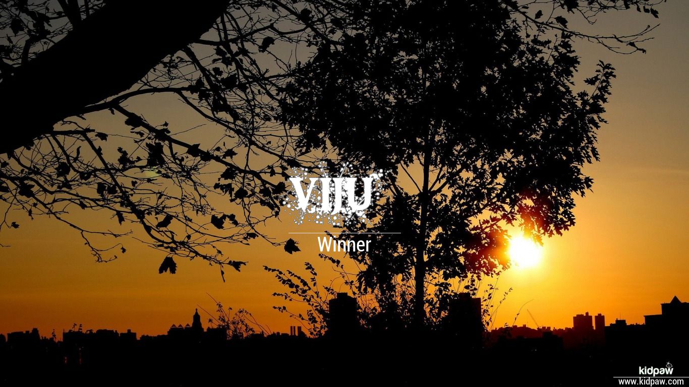 Viju 3D Name Wallpaper for Mobile, Write वीजु Name on Photo Online