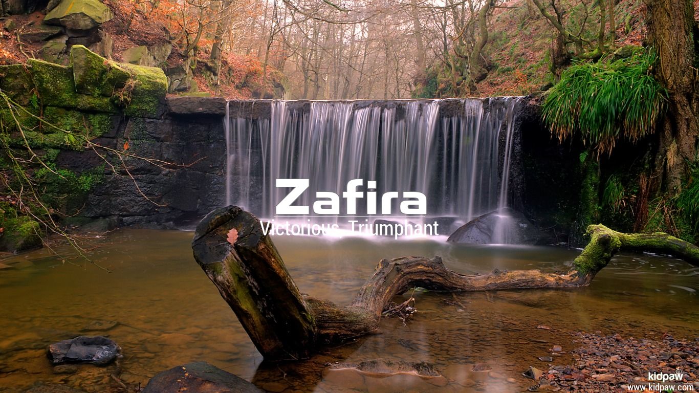 ظفرا | Zafira Name Meaning in Urdu, Arabic names for Girls