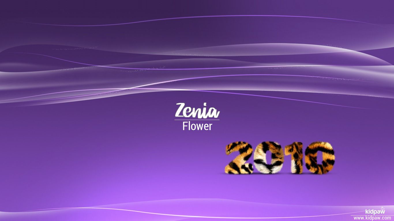 زنية Zenia Name Meaning In Urdu